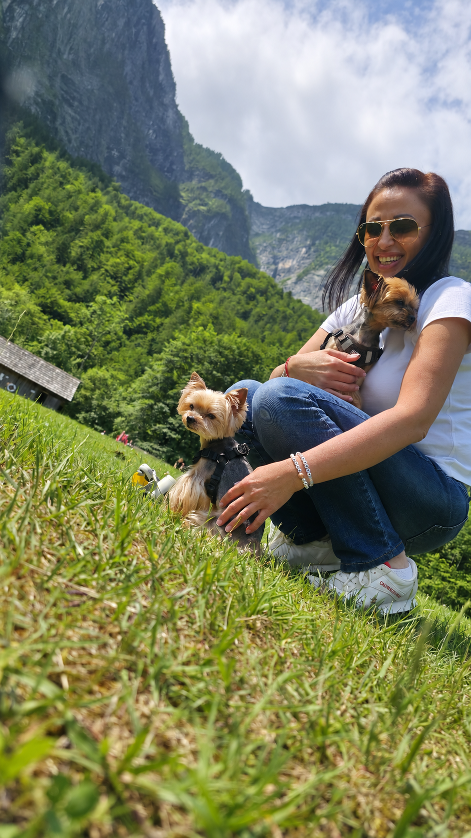 Silvia mit ihren zwei Yorkshire Terriern im Grünen