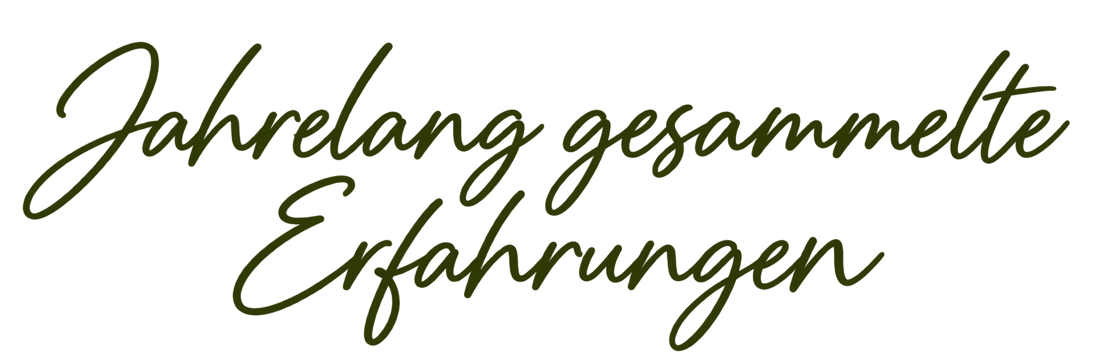 Jahrelang gesammelte Erfahrungen